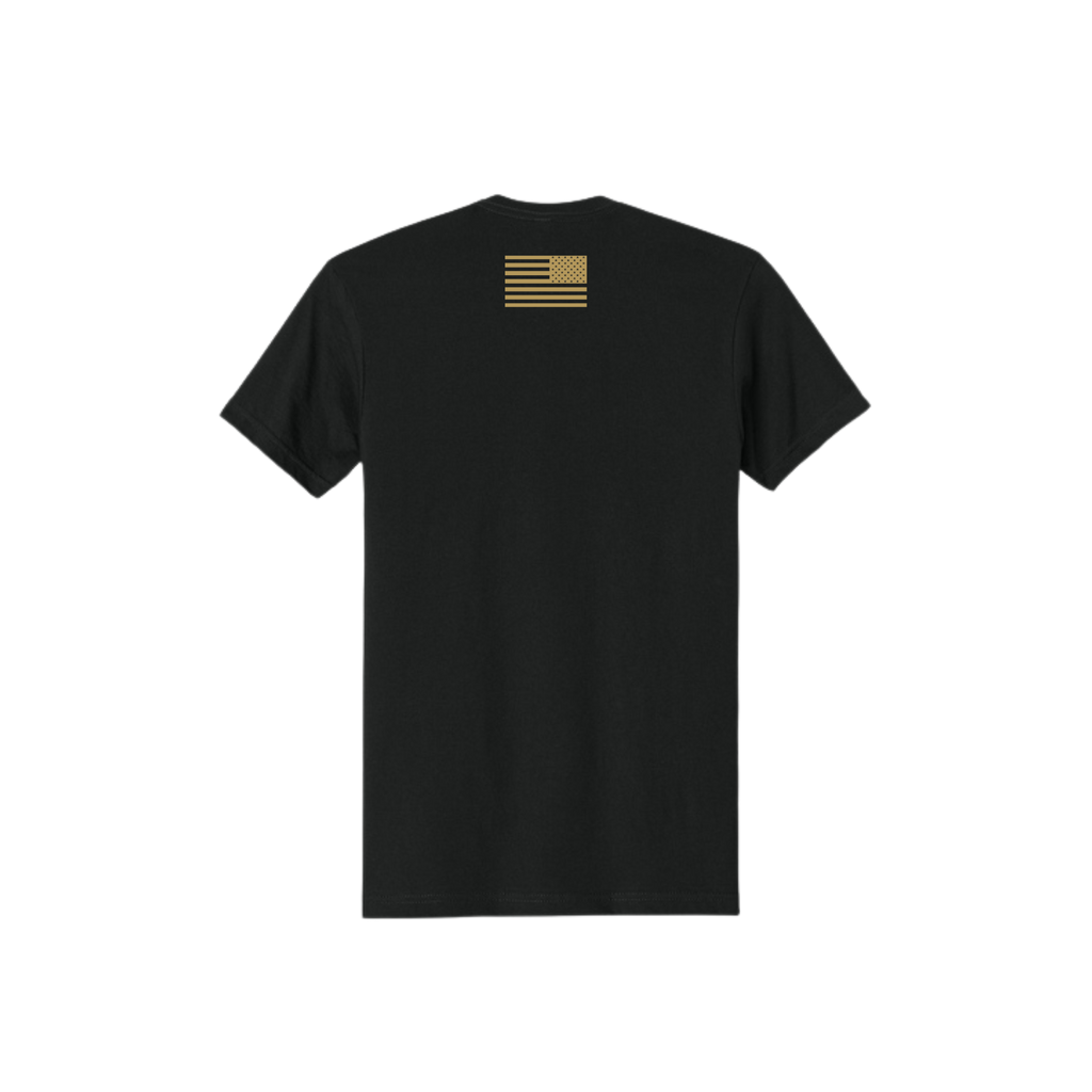 NEXT LEVEL APPAREL ADULT CVC TEE
